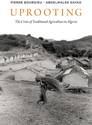 Entwurzelung: Die Krise der traditionellen Landwirtschaft in Algerien - Uprooting: The Crisis of Traditional Algriculture in Algeria