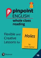 Pinpoint English Whole Class Reading Y6: Löcher - Flexible und kreative Lektionen für Löcher (von Louis Sachar) - Pinpoint English Whole Class Reading Y6: Holes - Flexible and Creative Lessons for Holes (by Louis Sachar)