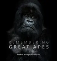 Erinnern an Menschenaffen - Remembering Great Apes