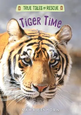 Tiger-Zeit - Tiger Time