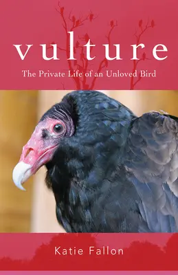 Geier: Das Privatleben eines ungeliebten Vogels - Vulture: The Private Life of an Unloved Bird