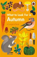 Was es im Herbst zu suchen gibt - What to Look For in Autumn
