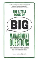 Kleines Buch der großen Managementfragen - Die 76 wichtigsten Fragen und wie man sie beantwortet - Little Book of Big Management Questions - The 76 most important questions and how to answer them