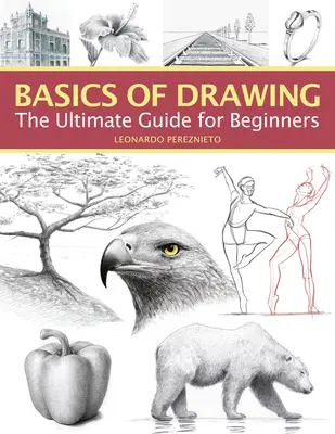 Grundlagen des Zeichnens: Der ultimative Leitfaden für Anfänger - Basics of Drawing: The Ultimate Guide for Beginners