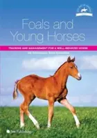 Fohlen und Jungpferde: Training und Management für ein gut erzogenes Pferd - Foals and Young Horses: Training and Management for a Well-Behaved Horse