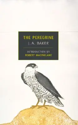 Der Wanderfalke - The Peregrine