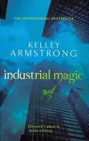 Industrielle Magie - Buch 4 in der Serie Frauen aus der Anderswelt - Industrial Magic - Book 4 in the Women of the Otherworld Series