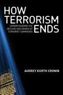 Das Ende des Terrorismus: Über den Niedergang und das Ende von Terrorkampagnen - How Terrorism Ends: Understanding the Decline and Demise of Terrorist Campaigns