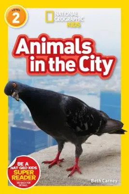 National Geographic Readers: Tiere in der Stadt (L2) - National Geographic Readers: Animals in the City (L2)