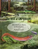 Der Aufstieg der Amphibien: 365 Millionen Jahre Evolution - The Rise of Amphibians: 365 Million Years of Evolution