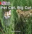 Kleine Katze, große Katze - Pet Cat, Big Cat