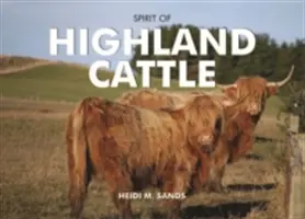 Der Geist der Hochlandrinder - Spirit of Highland Cattle