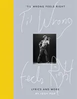 Bis sich das Falsche richtig anfühlt - Lyrik und mehr - 'Til Wrong Feels Right - Lyrics and More