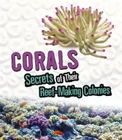 Korallen - Geheimnisse ihrer riffbildenden Kolonien - Corals - Secrets of Their Reef-Making Colonies