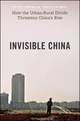 Das unsichtbare China: Wie die Kluft zwischen Stadt und Land Chinas Aufstieg bedroht - Invisible China: How the Urban-Rural Divide Threatens China's Rise