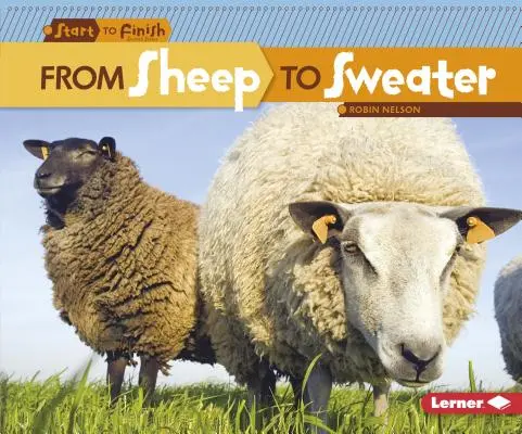 Vom Schaf zum Pullover - From Sheep to Sweater