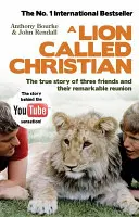 Der Löwe, der Christ genannt wird - Lion Called Christian