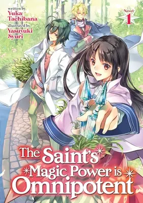 Die magische Kraft des Heiligen ist allmächtig (Light Novel) Bd. 1 - The Saint's Magic Power Is Omnipotent (Light Novel) Vol. 1