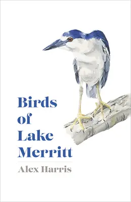 Vögel des Merritt-Sees - Birds of Lake Merritt