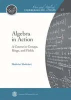 Algebra in Aktion - Ein Kurs über Gruppen, Ringe und Felder - Algebra in Action - A Course in Groups, Rings, and Fields