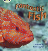 Bug Club Phonics Non Fiction Year 1 Phase 4 Set 12 Fantastic Fish