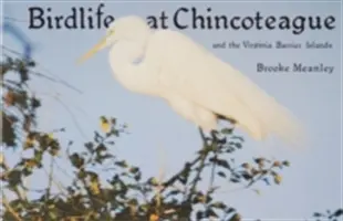 Vogelwelt in Chincoteague und auf den Virginia Barrier Islands - Birdlife at Chincoteague and the Virginia Barrier Islands