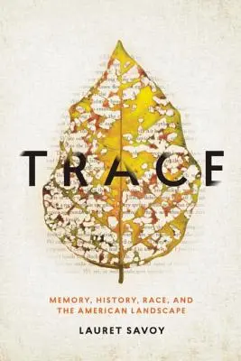 Spurensuche: Erinnerung, Geschichte, Ethnie und die amerikanische Landschaft - Trace: Memory, History, Race, and the American Landscape