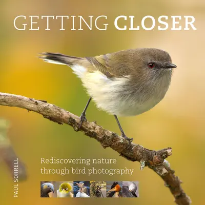 Näher heran: Die Natur durch Vogelfotografie wiederentdecken - Getting Closer: Rediscovering Nature Through Bird Photography