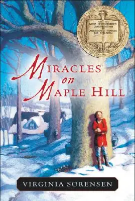 Wunder auf Maple Hill - Miracles on Maple Hill