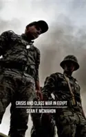 Krise und Klassenkampf in Ägypten: Gesellschaftliche Reproduktion, Fraktionsbildungen und die globale politische Ökonomie - Crisis and Class War in Egypt: Social Reproduction, Factional Realignments and the Global Political Economy