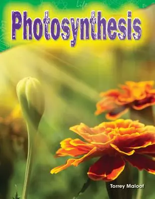 Fotosynthese - Photosynthesis