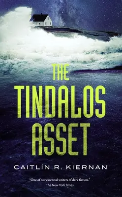 Das Tindalos-Vermögen - The Tindalos Asset