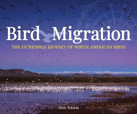 Vogelzug: Die unglaublichen Reisen der nordamerikanischen Vögel - Bird Migration: The Incredible Journeys of North American Birds