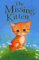 Vermisstes Kätzchen - Missing Kitten