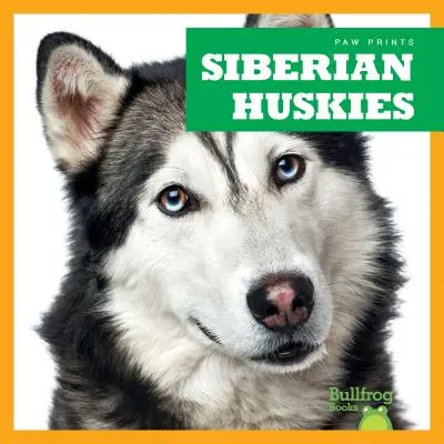 Sibirische Huskys - Siberian Huskies