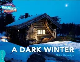 Ein dunkler Winter Türkisfarbenes Band - A Dark Winter Turquoise Band