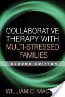 Kollaborative Therapie mit mehrfach belasteten Familien - Collaborative Therapy with Multi-Stressed Families