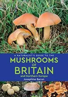 Naturführer für Pilze in Großbritannien und Nordeuropa (2. Auflage) - Naturalist's Guide to the Mushrooms of Britain and Northern Europe (2nd edition)