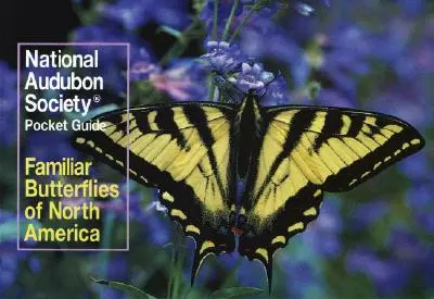 Nationale Audubon-Gesellschaft Taschenführer: Bekannte Schmetterlinge Nordamerikas - National Audubon Society Pocket Guide: Familiar Butterflies of North America