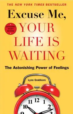 Entschuldigung, Ihr Leben wartet: Die verblüffende Macht der Gefühle - Excuse Me, Your Life Is Waiting: The Astonishing Power of Feelings