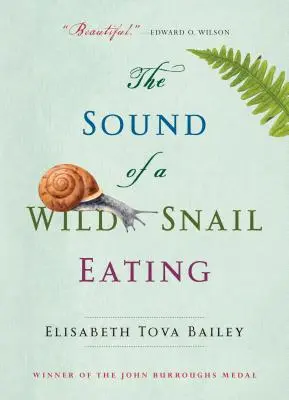 Das Geräusch einer fressenden Wildschnecke - The Sound of a Wild Snail Eating