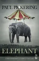 Elefant - Elephant