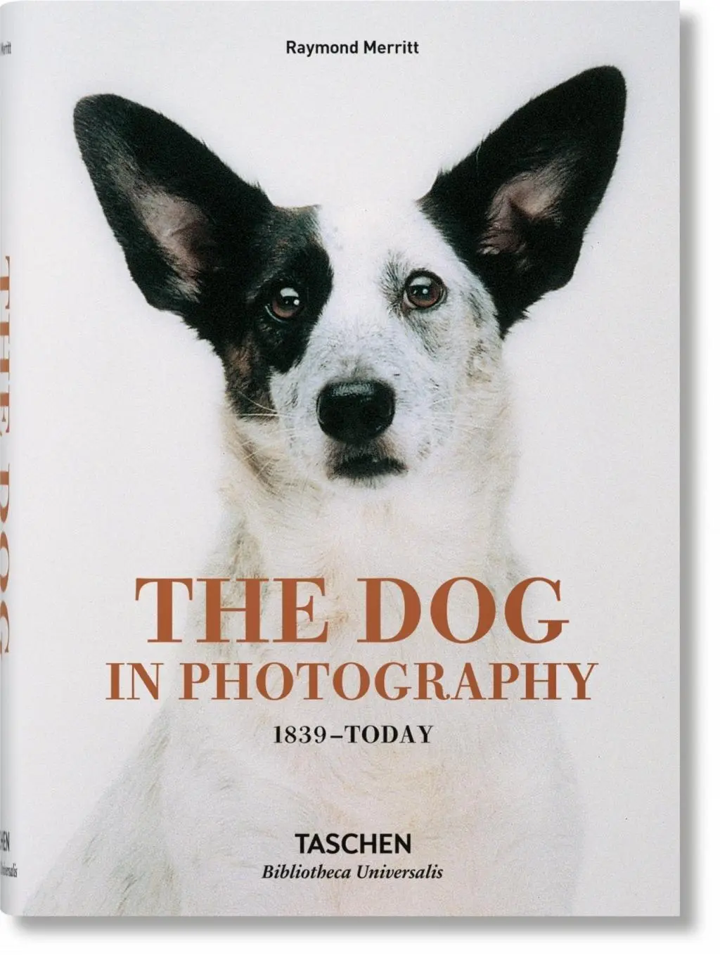 Der Hund in der Fotografie 1839-heute - The Dog in Photography 1839-Today