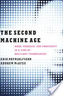 Das zweite Maschinenzeitalter: Arbeit, Fortschritt und Wohlstand in einer Zeit genialer Technologien - The Second Machine Age: Work, Progress, and Prosperity in a Time of Brilliant Technologies