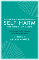 Selbstverletzungen verstehen und darauf reagieren: Der Leitfaden aus einer Hand: Praktische Ratschläge für alle, die von Selbstbeschädigung betroffen sind - Understanding and Responding to Self-Harm: The One Stop Guide: Practical Advice for Anybody Affected by Self-Harm