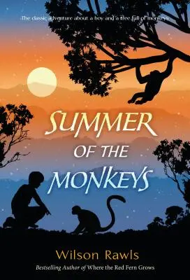 Der Sommer der Affen - Summer of the Monkeys