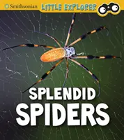 Prächtige Spinnen - Splendid Spiders