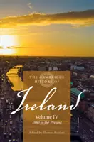 Die Cambridge Geschichte Irlands: Band 4, 1880 bis zur Gegenwart - The Cambridge History of Ireland: Volume 4, 1880 to the Present