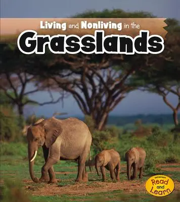 Leben und Nichtleben im Grasland - Living and Nonliving in the Grasslands