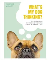 Was denkt mein Hund? - Verstehen Sie Ihren Hund, um ihm ein glückliches Leben zu ermöglichen - What's My Dog Thinking? - Understand Your Dog to Give Them a Happy Life